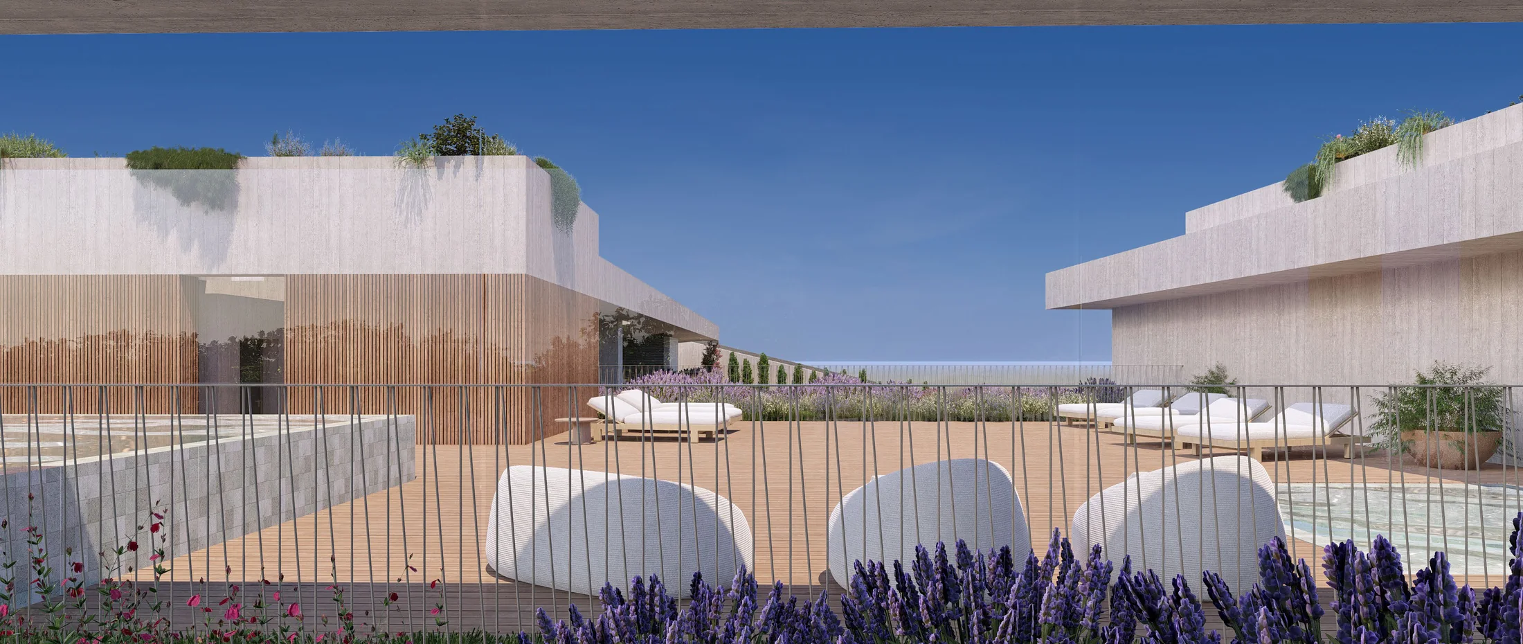 Rooftop pool deck and planted terrace